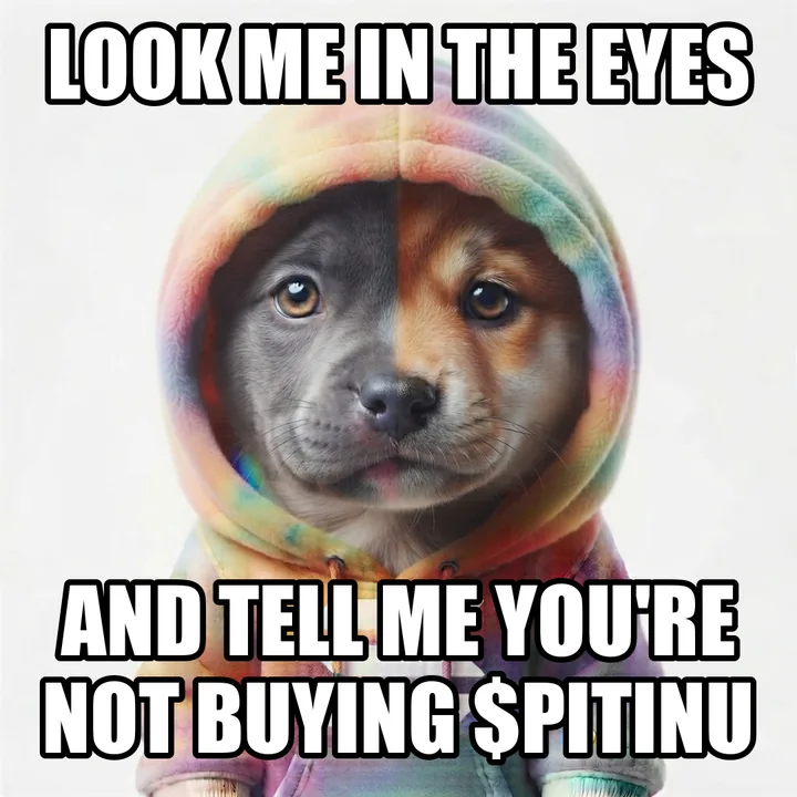Look me in the eyes and tell me you're not buying $PITINU