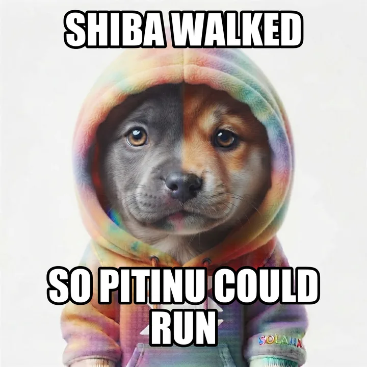 Shiba walked so Pitinu could run