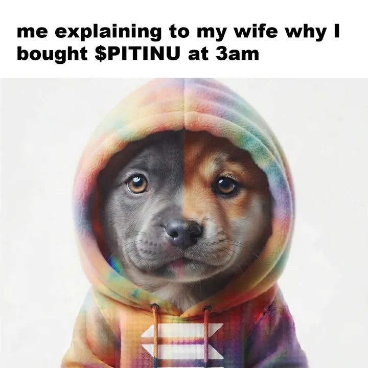 Me explaining to my wife why I bought $PITINU at 3am